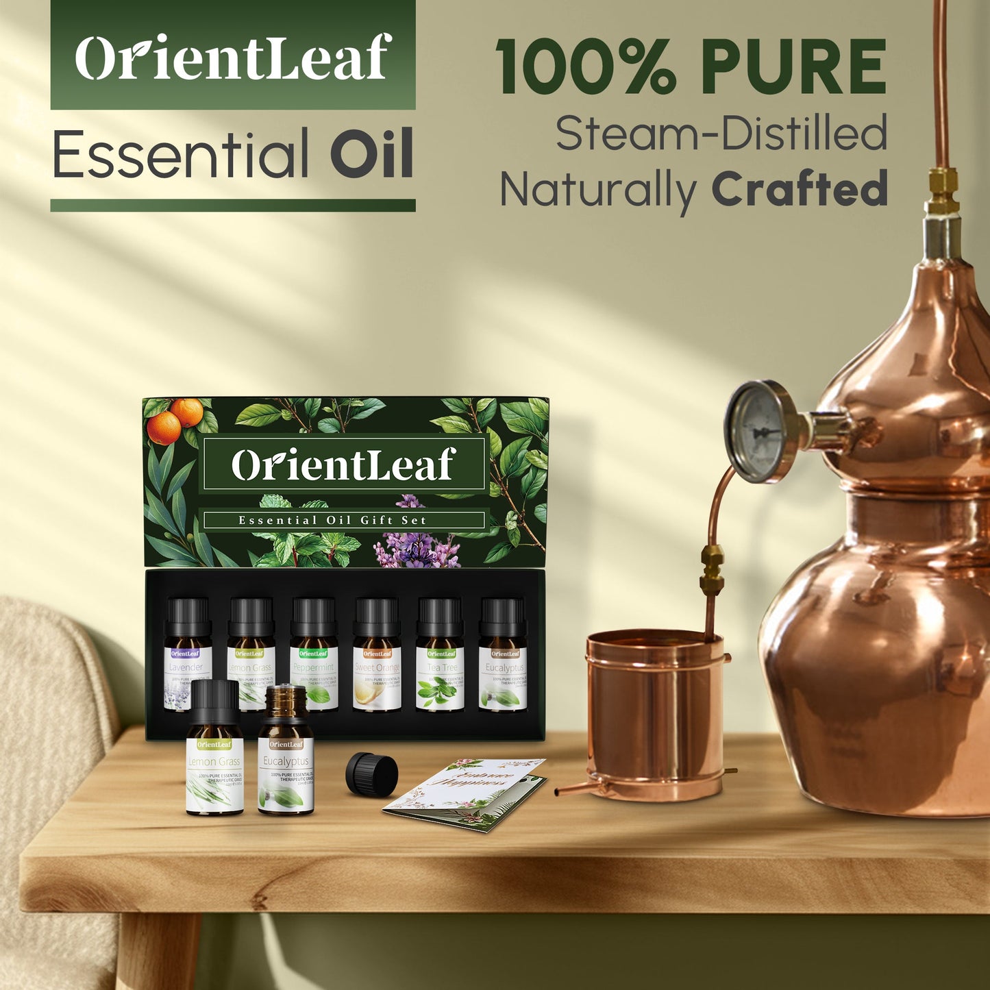 Huiles essentielles pour diffuseurs, extraits de plantes 100 % naturelles, six parfums