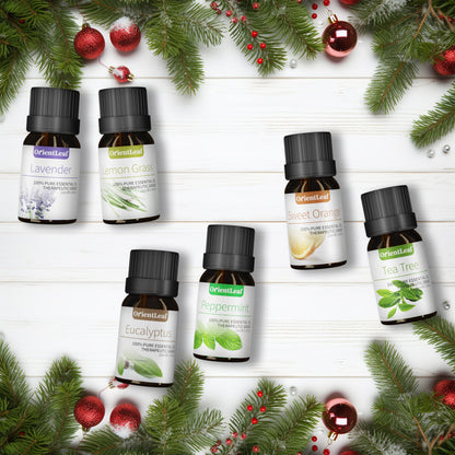 Huiles essentielles pour diffuseurs, extraits de plantes 100 % naturelles, six parfums 
