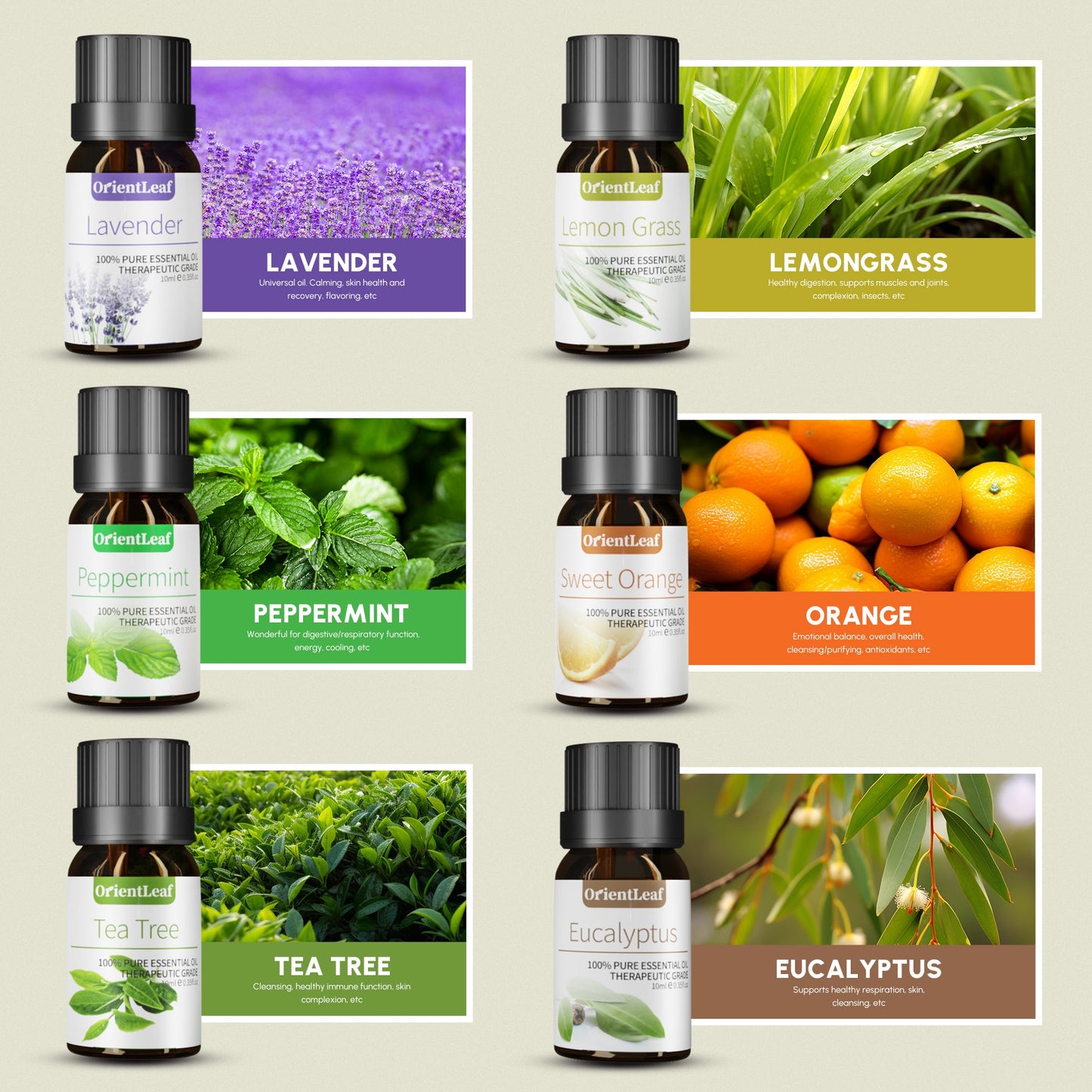 Huiles essentielles pour diffuseurs, extraits de plantes 100 % naturelles, six parfums 