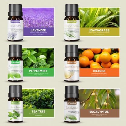 Huiles essentielles pour diffuseurs, extraits de plantes 100 % naturelles, six parfums 