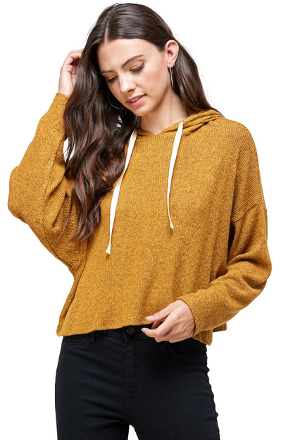 Pull à capuche côtelé bicolore brossé