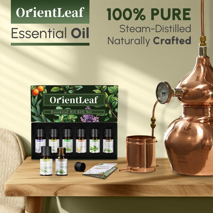 Huiles essentielles pour diffuseurs, extraits de plantes 100 % naturelles, six parfums 