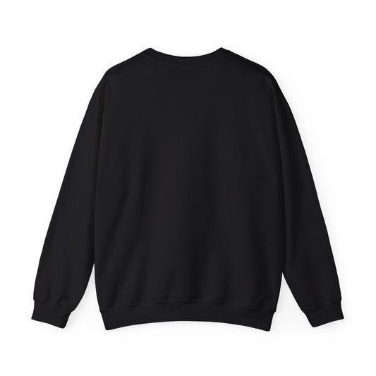 Steelers Crewneck Sweatshirt – Unisex