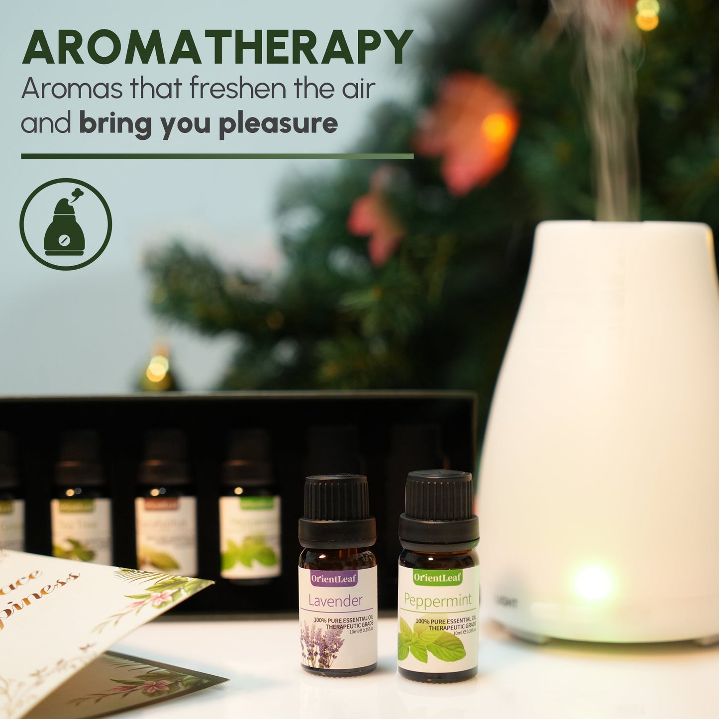 Huiles essentielles pour diffuseurs, extraits de plantes 100 % naturelles, six parfums 