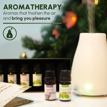 Huiles essentielles pour diffuseurs, extraits de plantes 100 % naturelles, six parfums 