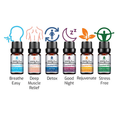 Paquete de 6 mezclas de aceites esenciales de aromaterapia 100 % puros