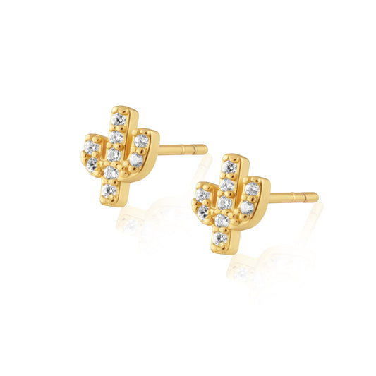 Mini cactus studs